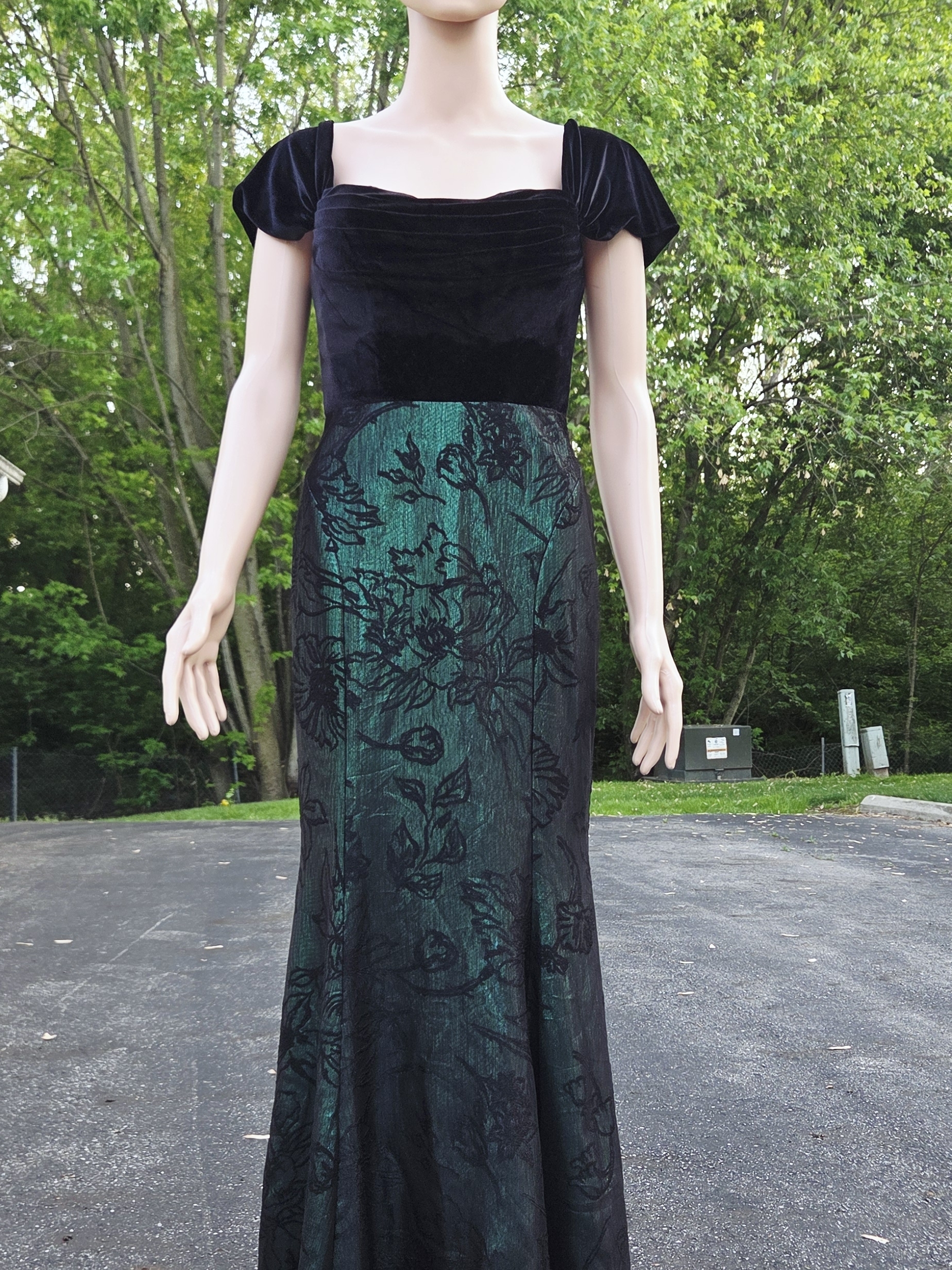 Francesca's Collections Black Velvet & Emerald Floral Maxi Dress